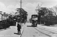 Belfast tram 223