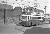 EZ 7898 Belfast Crpn trolleybus 10 Karrier E6A Harkness