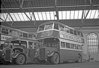 Blackburn Crpn  buses 1946-