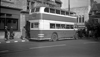 Manchester Corporation buses