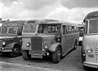 RN 8401 Leyland TS8