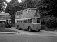 DG0003128 AAK 420 AEC 661T Bradford trolleybus