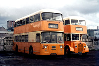 Graham Bus Service, Paisley