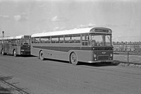 FUP 272C Stanhope AEC Reliance Willowbrook