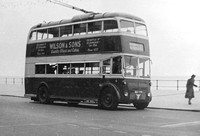 BDY 779 Hastings Tramways 4