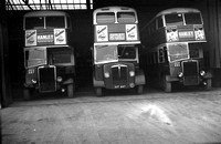OEH 887 PMT H487.  Leyland PD XVT 647 H6647 Daimler + OEH 888 Leyland PD  H488