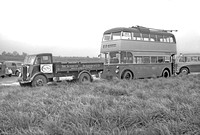 Wolverhampton trolleybuses