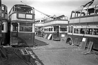 Birmingham City Transport buses in scrap yard (2)