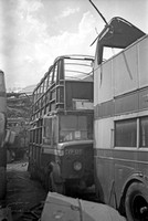 CVP 135 and other  Birmingham City Transport buses in scrap yard
