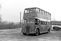 BRN 261 Bingley Leyland PD1 Burlingham