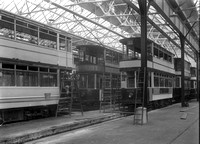 Trams 608, 353 + others