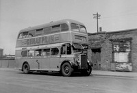 Birkenhead buses 1946- 1959