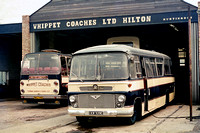 CEW 939C Whippet Coaches