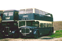 TUH 366 Whippet Coaches