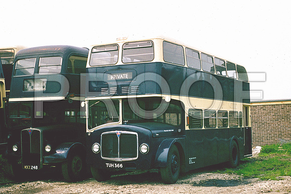 TUH 366 Whippet Coaches