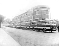Ipswich Trolleybuses line up