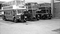 Ipswich Corporation buses