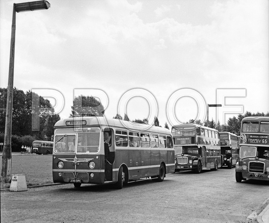 239 DPC Cole (Blue Bus) Dennis Lancet UF Burlingham with TVT Bristol LDs