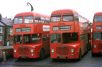 6356 HA Midland Red 5356 BMMO D8 Carlyle + EHA 442D