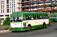 975 DAE Bristol Omnibus 2955