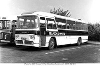 140 DBO Black and White 140