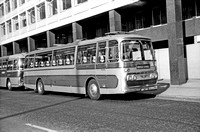 JRwly5663 NRO 151D World Wide AEC Reliance Plaxton
