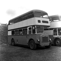 LCU 113 Morris, Swansea Daimler CCG6DD Roe