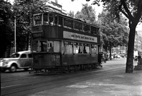 LT tram 184