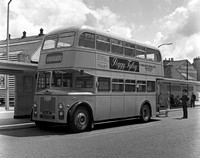 Maidstone CT buses