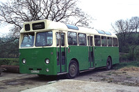 WEE 238 Webster AEC Reliance Willowbrook