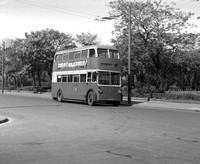 CU 5103 South Shields trolleybus 264