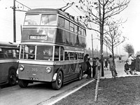 CU 3592 South Shields trolleybus 203