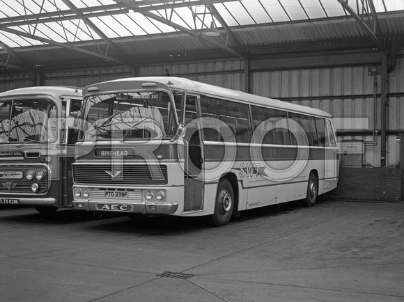 PTG 239F AEC Reliance Duple Norrthern