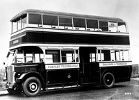 Burnley Crpn buses