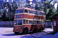 HKR 3 Maidstone trolleybus 64