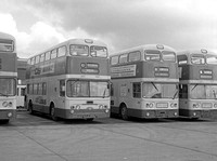 FJY 913E Plymouth City Bus Leyland Atlantean 213 +FJY 915E, FJY 911E