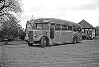 FLH 686 Grey Green Leyland TS8 Harrington