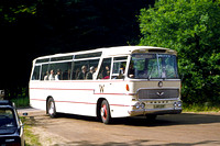 LAW 129F White Bedford Duple