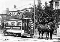 Newport tram 14 Horse Tram.