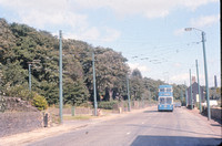 Bradford trolleybus 644