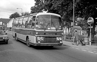 MAW 346P Coach Services  Plaxton