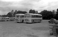 6309 WJ SUT 309 AEC Reliance Plaxton + 9204 NW Wallace Arnold
