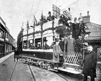 Nelson-trams