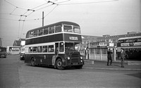 Cardiff Corporation buses 1946- 1963