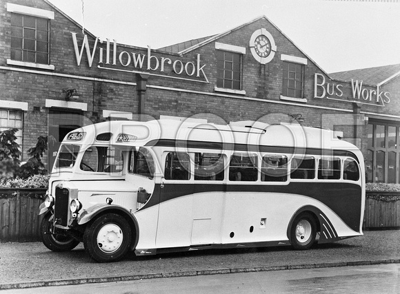 Albion Willowbrook