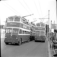 RV 8333 Portsmouth trolleybus 251